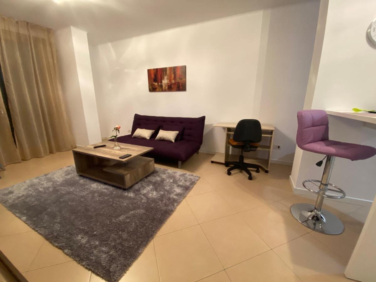 Central Apartment Timisoara Esterno foto
