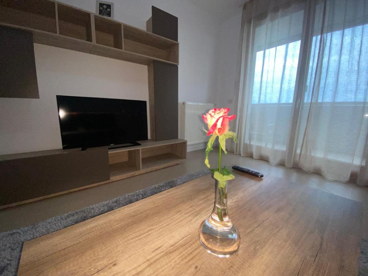 Central Apartment Timisoara Esterno foto