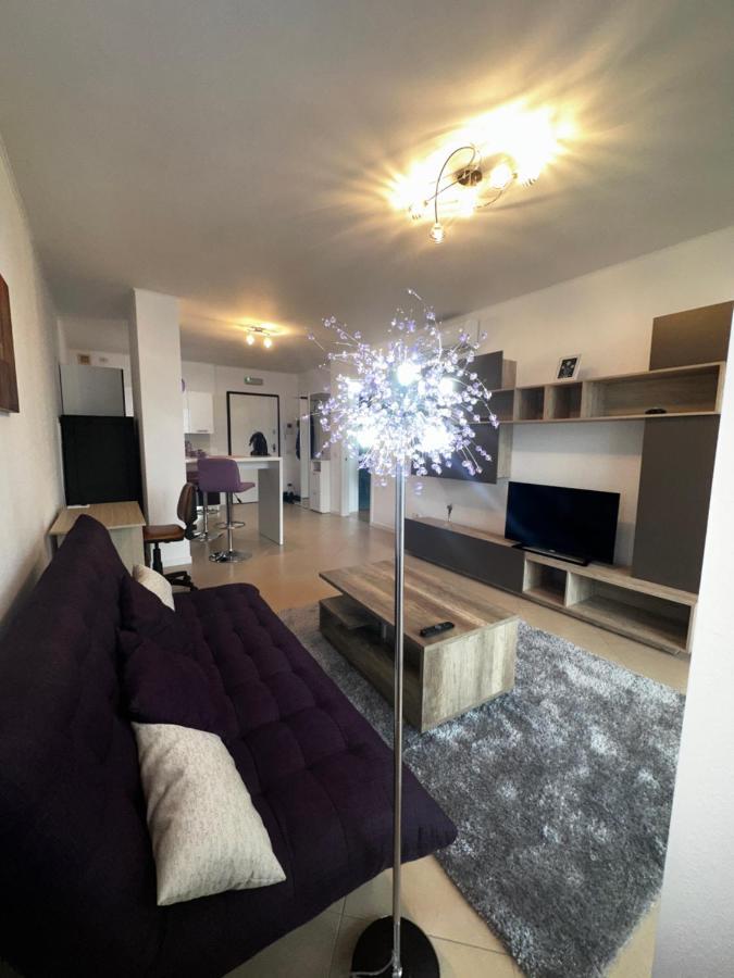 Central Apartment Timisoara Esterno foto