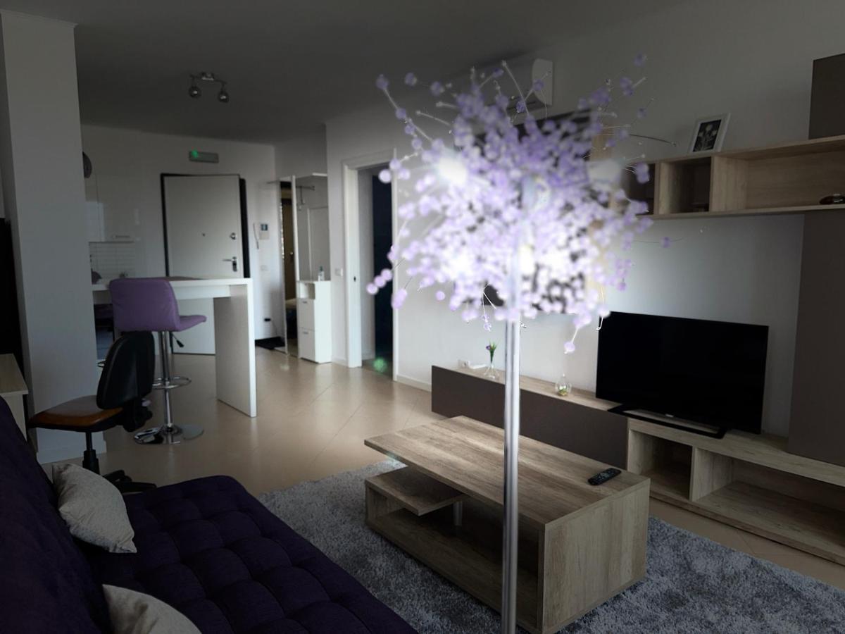 Central Apartment Timisoara Esterno foto